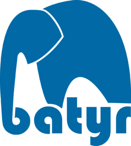 batyr logo